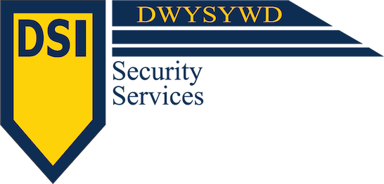 DSI logo blog header 1