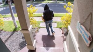 porch pirate 900x506 1